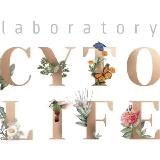 Laboratory Cytolife