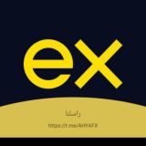 محترف الفوركس العربي 🌏