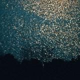 Искрящийся мир вокруг