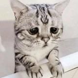 قدري🫶🏼🫂