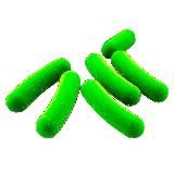 МИКРОБИОМ КОЛЧИНА