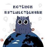 Котенок-путешественник