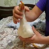 💟ПАЛАТА N9 💟