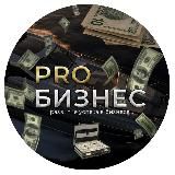 PRO Бизнес