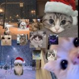 𝐒𝐞𝐦𝐲𝐚 𝐤𝐨𝐬𝐡𝐚𝐜𝐡𝐢𝐡