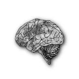 Манифест психолога