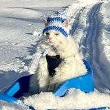 Фото батл | приз 1500₽