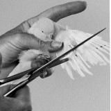 𝘀𝗵𝘂𝗻𝗰𝗵𝗮𝗸𝗶...