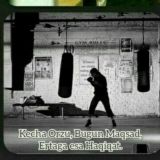 彡彡§hŐx彡bOłå ͜͡ঊ