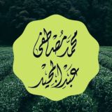 محمد مصطفى عبد المجيد