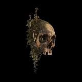 ♟ 𝙘𝙡𝙤𝙩𝙝𝙚𝙨𝙨 ♟