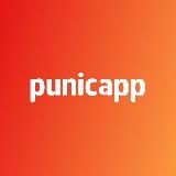 Punicapp | Разработка мобильных приложений