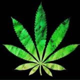 👉💯🖤GĂĽ XØŘÂŽÎMÃ🖤👈