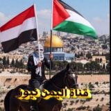 قناة اليمن نيوز