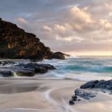 zh’s peony🐚🤍