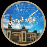 شبكة فلوجيين