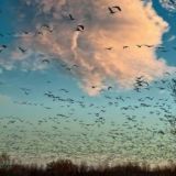 ♚࿆꙲̲̲̲̲̲̲̲̲̲̲̲̲̲̲̲̲͢🇶͜͡꙰ᎪᎠᏆᎡ͜͡🇩꙰ᎾNᏞᎪᎡᏆ͜͡🇲꙰♚࿆꙲̲̲̲̲̲̲̲̲̲̲̲̲̲̲̲̲̲͢