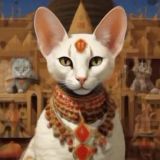 Корейский тикток