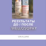 Результаты WELLOSOPHY