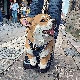 Mr.Sherlock 🦊+🍞=🐶