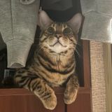 ᴨᴏᴛᴇᴩянный.