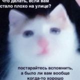who?llikmi? - чат