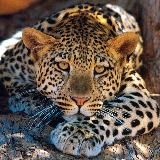 Своими глазами 🌏