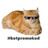 Кот Промокод🚀