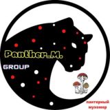 Panther_M. 🍄