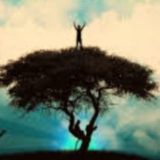 Монетизация в ТикТок